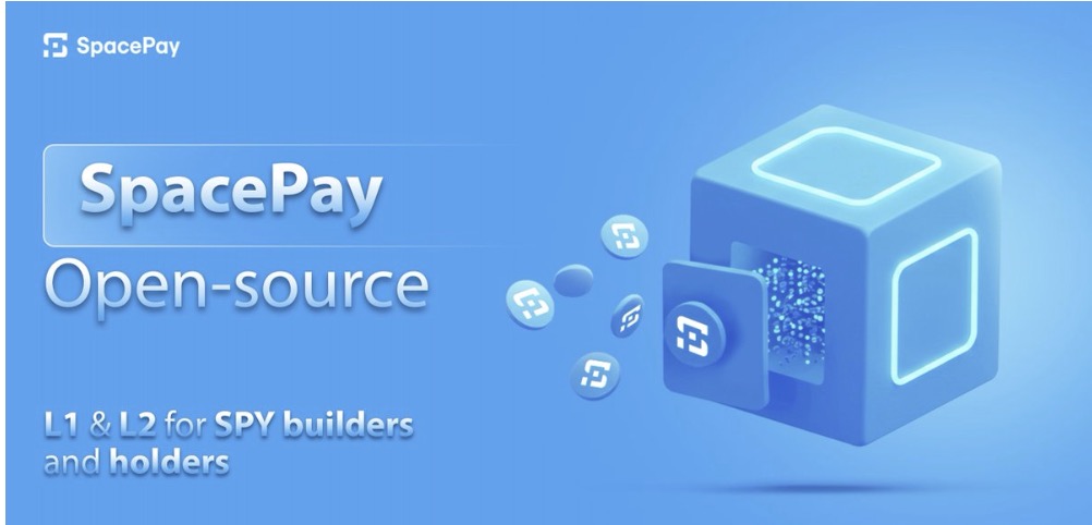 SpacePay Treats Meme Coins as Legitimate Payment Methods
